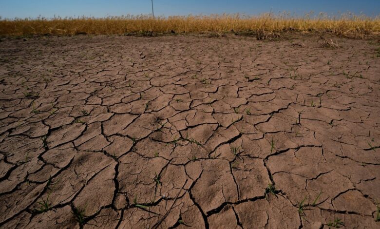 Te explicamos el fenómeno de El Niño, que podría regresar este verano Te explicamos el fenómeno de El Niño, que podría regresar este verano